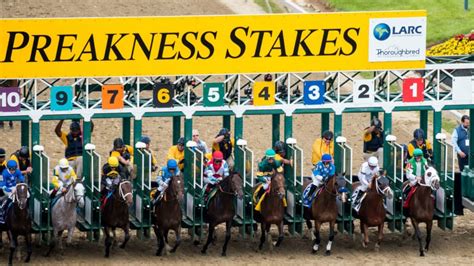 probabilidades preakness stakes|Preakness Stakes .